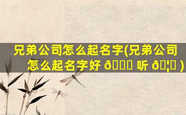 兄弟公司怎么起名字(兄弟公司怎么起名字好 🐘 听 🦊 )